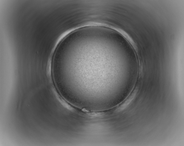 X0000113540862200909250925