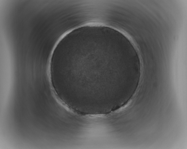 X0000113540864200909250925