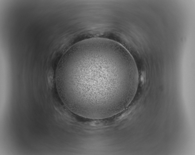 X0000113540867200909250924