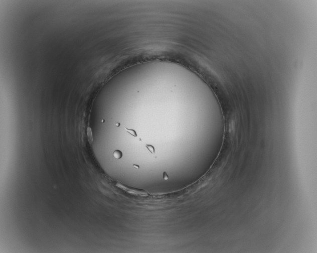 X0000113540868200909250924