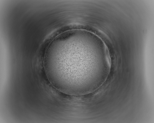 X0000113540870200909250924