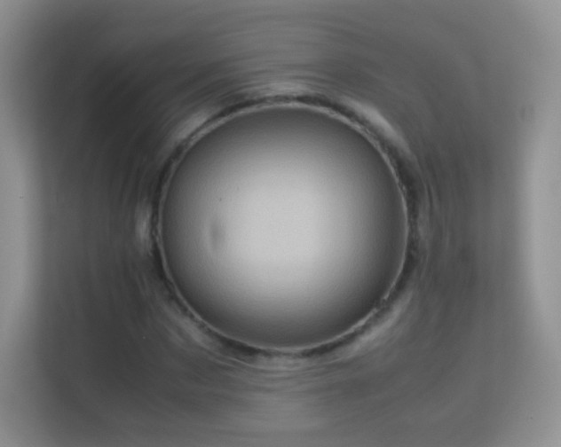 X0000113540873200909250924