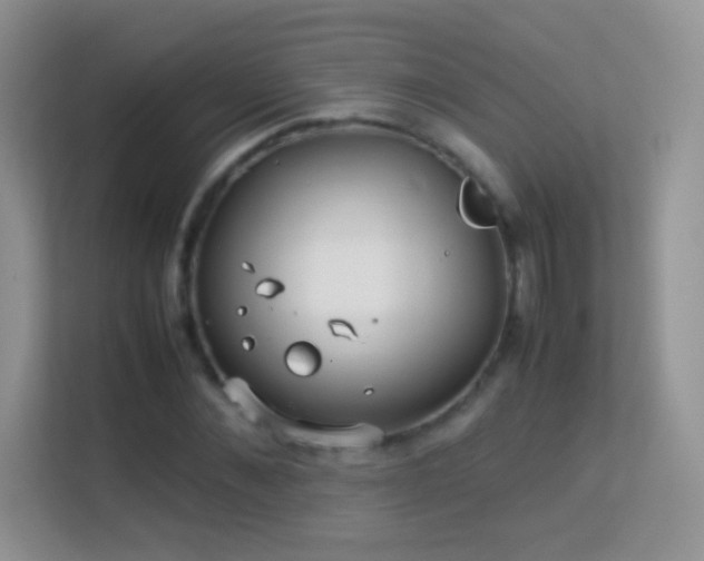 X0000113540876200909250924
