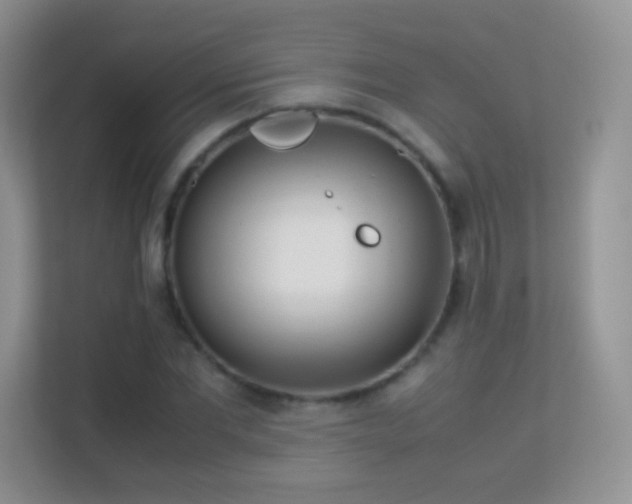 X0000113540877200909250924