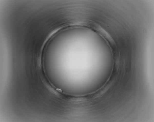 X0000113540884200909250924