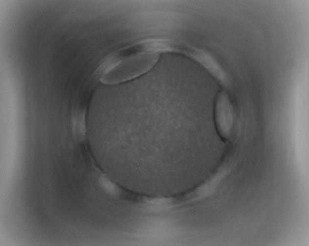 X0000113540889200909250924