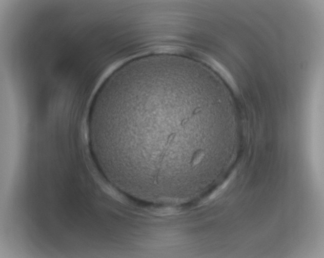 X0000113540891200909250924
