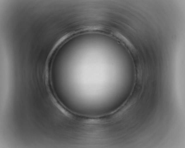 X0000113540894200909250924