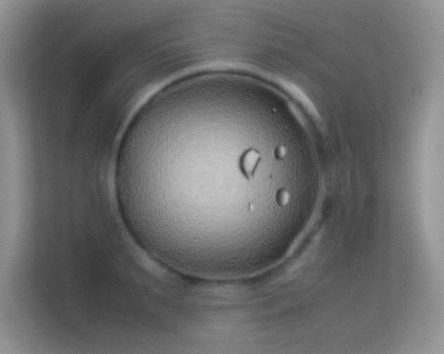 X0000113540895200909250924