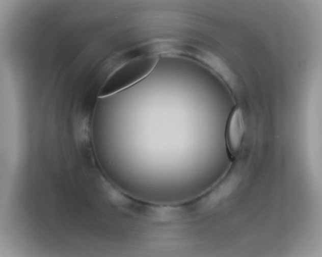 X0000113540897200909250924