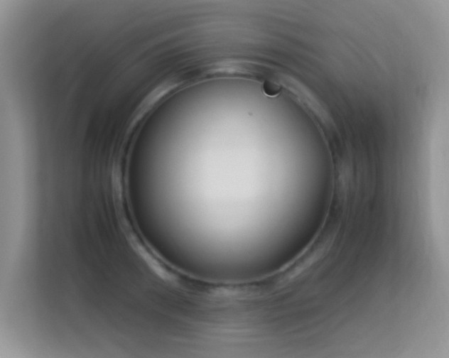 X0000113540898200909250924