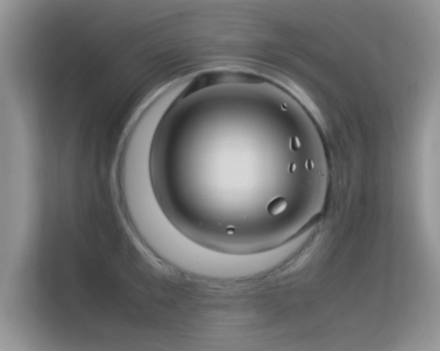 X0000113540901200909250924