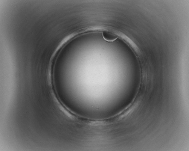 X0000113540902200909250924