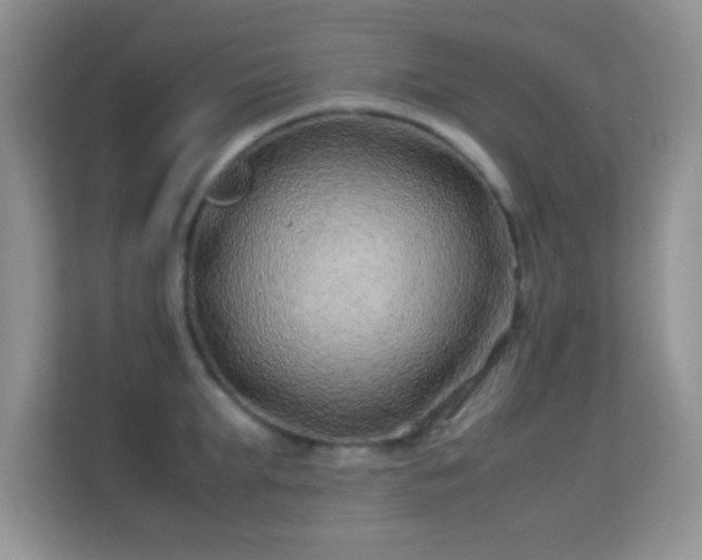 X0000113540903200909250924