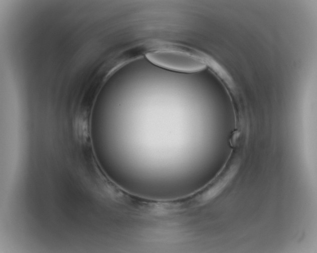 X0000113540905200909250924