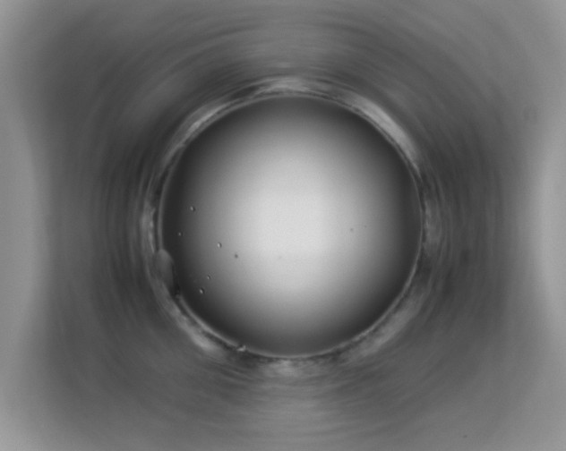 X0000113540906200909250924
