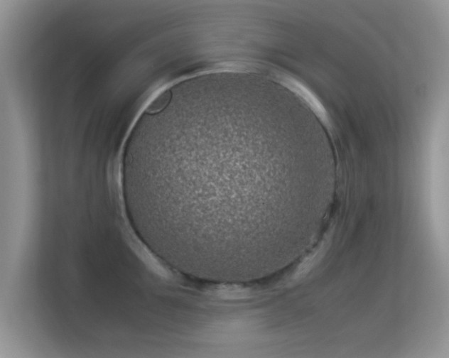 X0000113540907200909250924