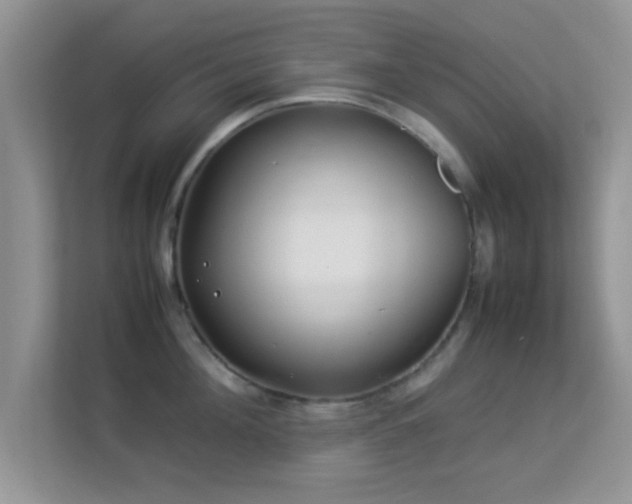 X0000113540908200909250924