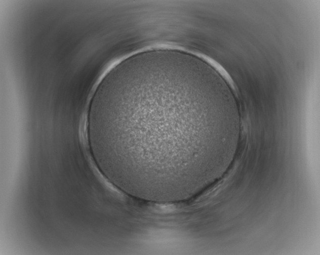 X0000113540911200909250924