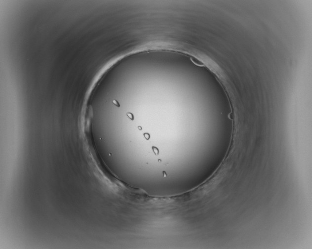 X0000113540912200909250924