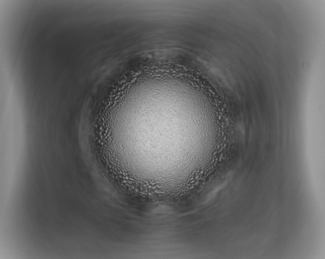 X0000113540913200909250923