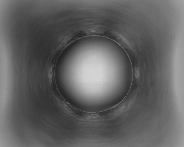 X0000113540915200909250923