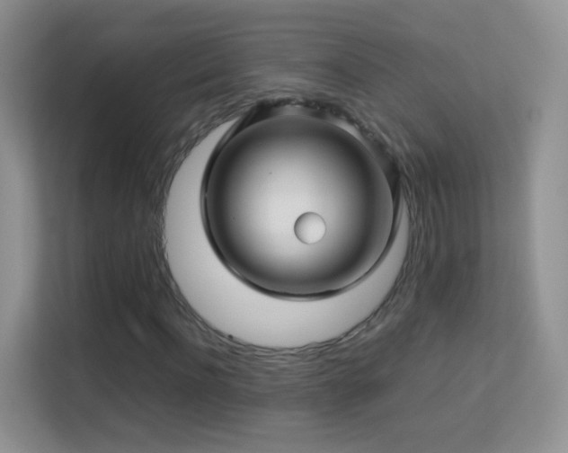 X0000113540916200909250923