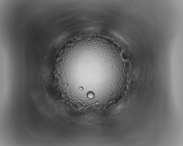 X0000113540917200909250923