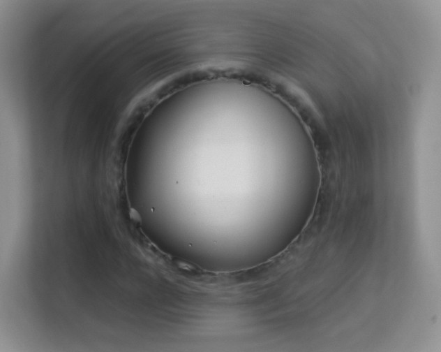 X0000113540920200909250923