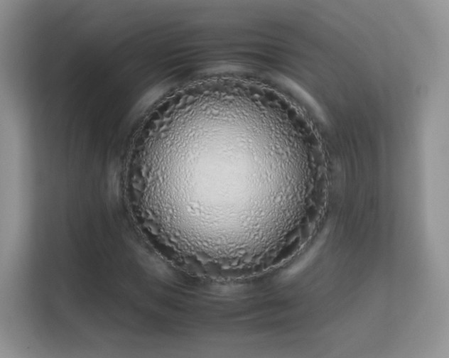X0000113540921200909250923