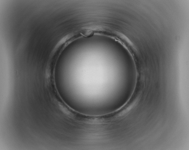 X0000113540922200909250923
