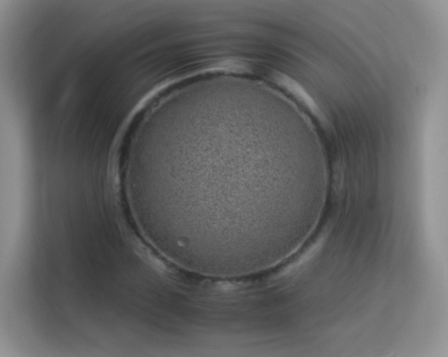 X0000113540923200909250923