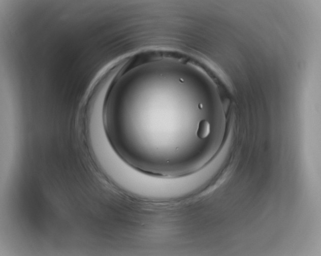 X0000113540926200909250923