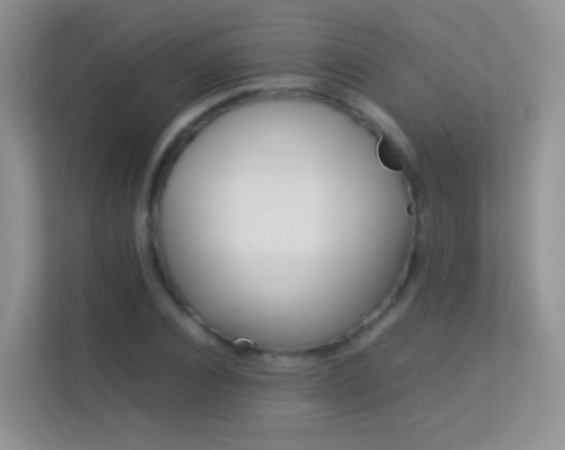 X0000113540928200909250923