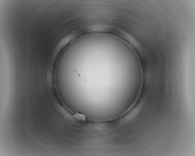 X0000113540930200909250923