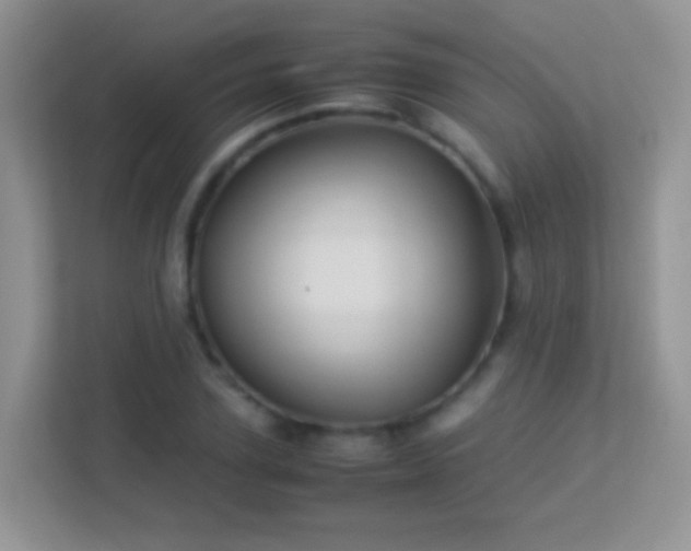 X0000113540931200909250923