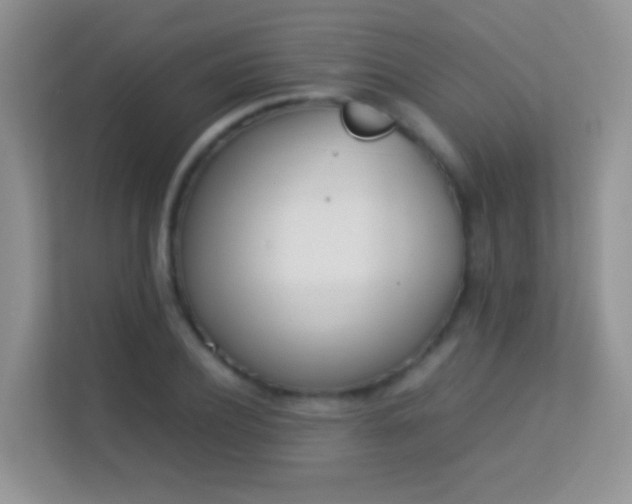 X0000113540932200909250923