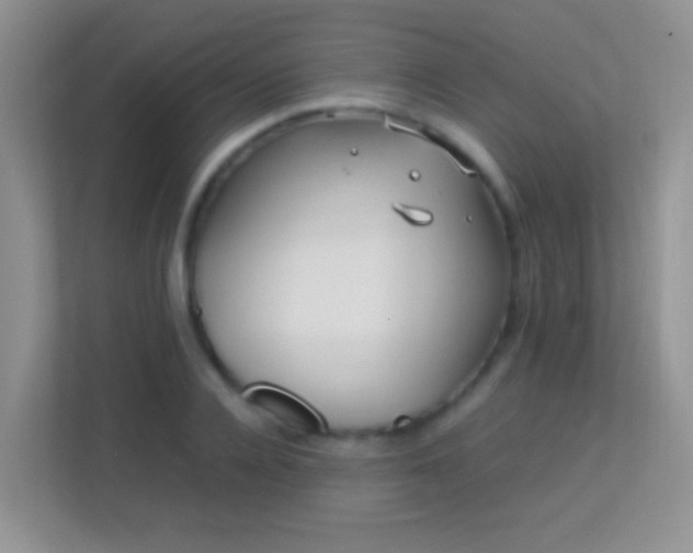 X0000113540936200909250923