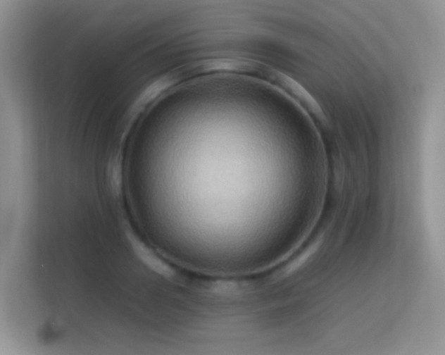 X0000113540938200909250923