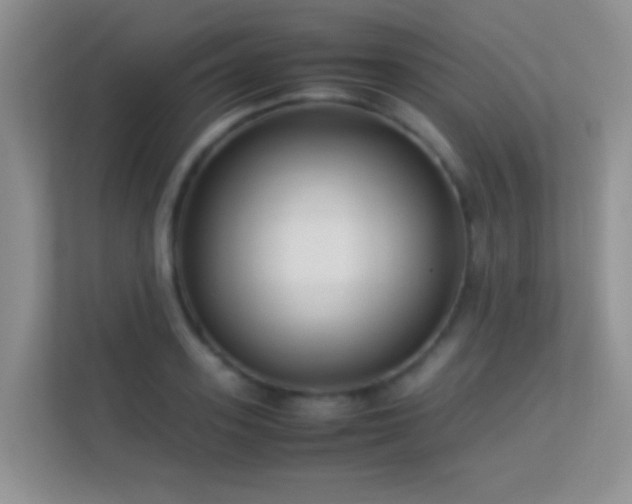 X0000113540939200909250923