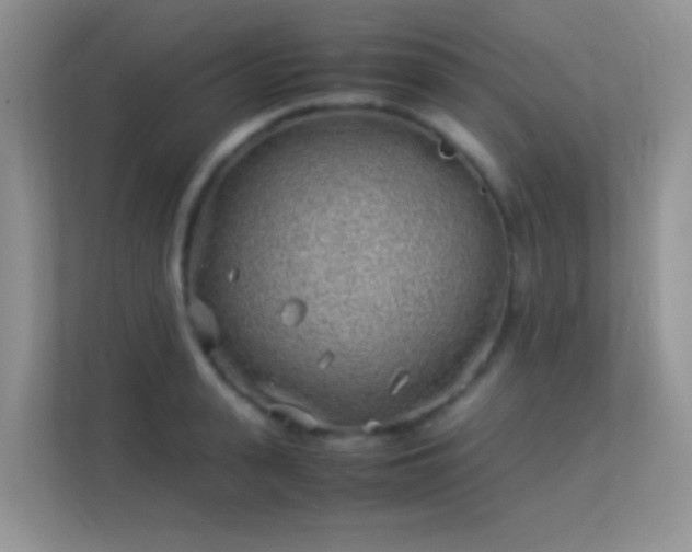 X0000113540943200909250923