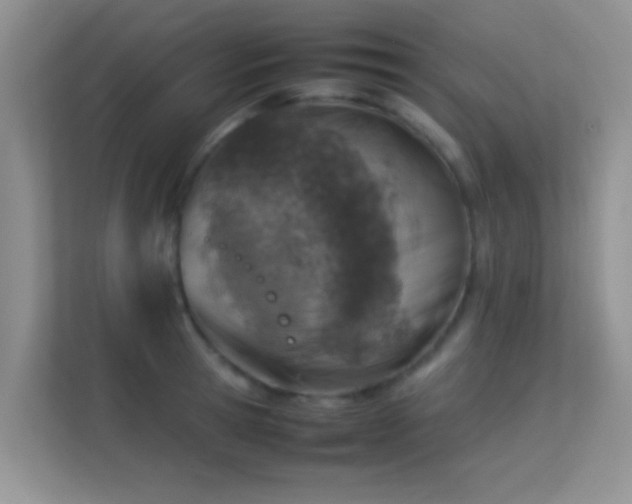 X0000113540945200909250923