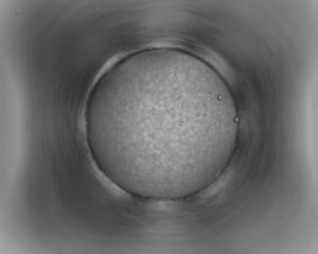 X0000113540950200909250923