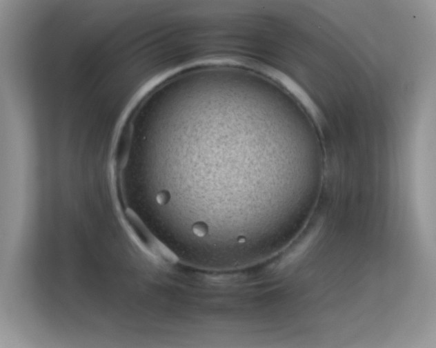 X0000113540951200909250923