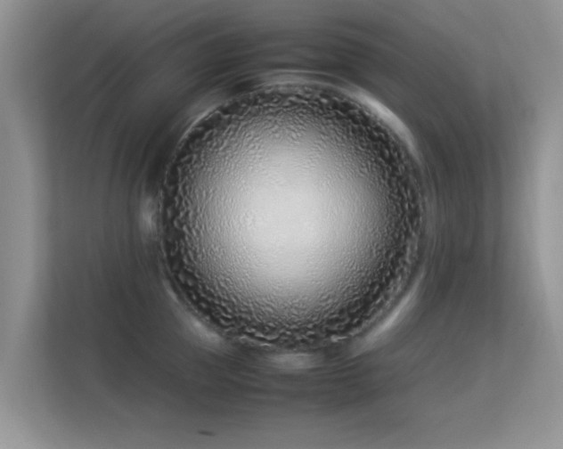 X0000113540953200909250923