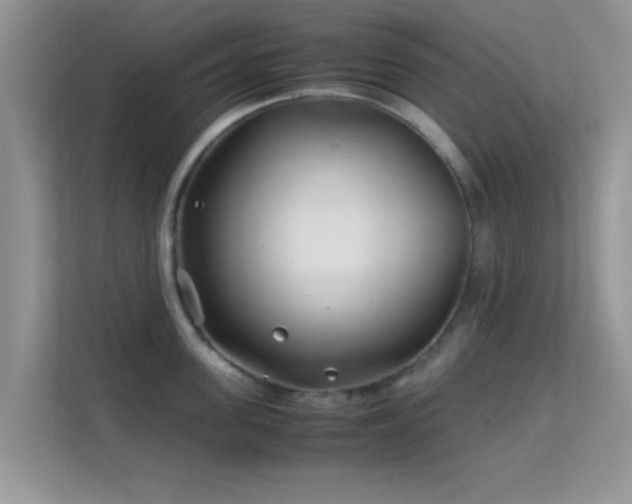 X0000113540955200909250923