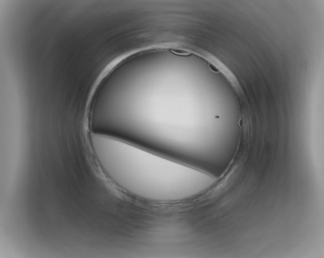 X0000113540956200909250923