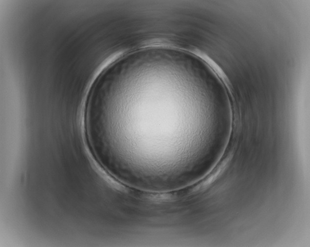 X0000113540957200909250923