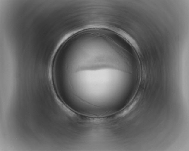 X0000113540958200909250924