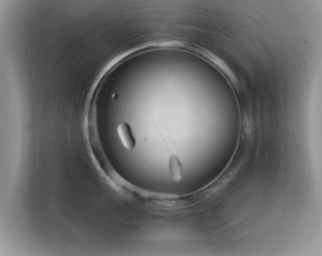 X0000113540959200909250924
